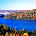Bức tranh thu tuyệt đẹp ở Algonquin