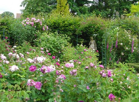 Vườn hồng, thuộc khu vườn Jardins de la Mansoniere ở Orne, 
Normandy