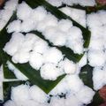 Bún Phú Đô, tinh hoa ẩm thực đất kinh kỳ