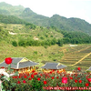 Khách sạn Vườn Hồng ATI
