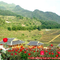 Khách sạn Vườn Hồng ATI