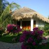 Khu nghỉ mát Cham Villas
