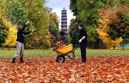 Khu vườn Kew tại Surrey còn tổ chức festival vào mùa thu.