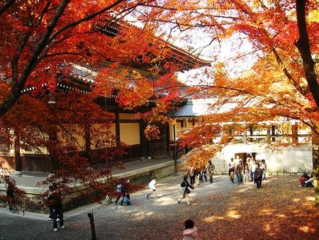 Trong các ngôi chùa tại cố đô Kyoto - Nhật Bản, những cây lá phong 
đã sậm đỏ.