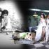 Phượng Anh Wedding Show