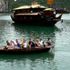 Tour mùa thu giảm giá