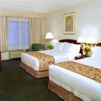 room in BAch Tung Diep - Khách Sạn Bách Tùng Diệp