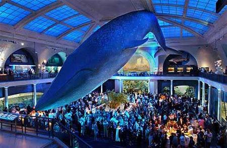 Viện bảo tàng American Museum of Natural History