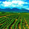 Dãy núi Kitanglad - vườn di sản của ASEAN