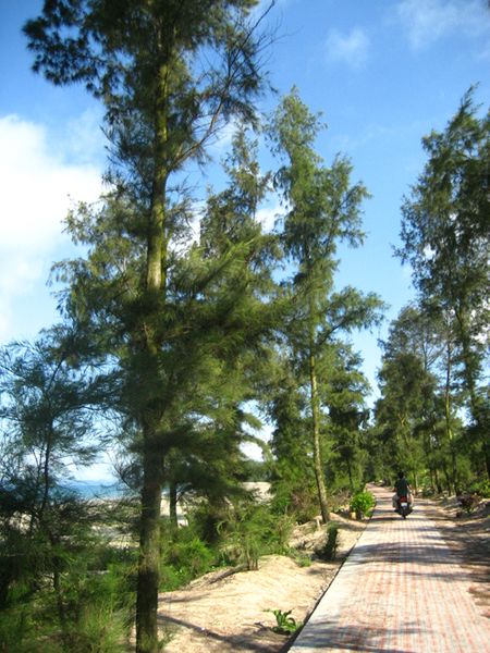 Đảo Cô Tô