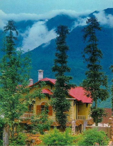 Sapa