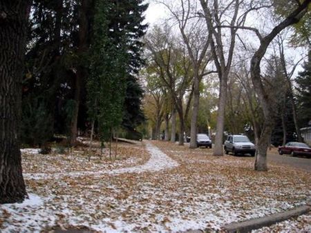Ngày chớm đông ở thành phố Edmonton với những con đường ngập xác lá vàng trộn lẫn bông tuyết trắng