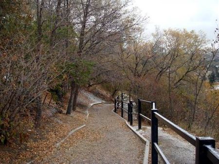 Một góc thành phố Edmonton ngày cuối thu nhìn từ đỉnh viện bảo tàng thành phố