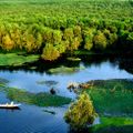 Đánh thức tiềm năng du lịch rừng tràm Trà Sư