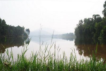 Một góc hồ Đại Lải thơ mộng