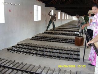 Chuồng cọp