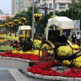 Tết này đi đâu?