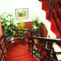 Thanh Thuy Hotel
