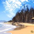 beach sight - Du lịch sinh thái biển Lộc An