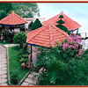 Du lịch sinh thái biển Lộc An