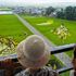 Vẽ tranh trên đồng lúa