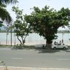 Khách sạn Bạch Đằng