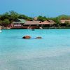 Whale Island Resort