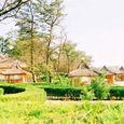 Tổng Quan - Năm Châu Resort
