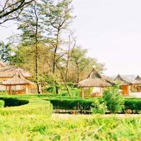 Tổng Quan - Năm Châu Resort