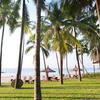 Amaryllis Resort
