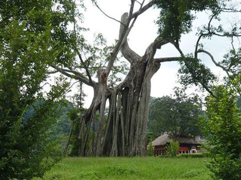 Du lịch vùng miền, du lịch