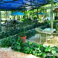 vườn - Thành Đạt Resort