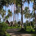 tổng quan - Mangobay Resort