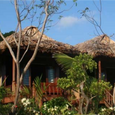 Tổng Quan - Monkey Island Resort