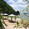 Tổng Quan - Monkey Island Resort
