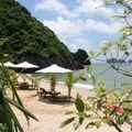Monkey Island Resort