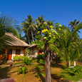 Quang cảnh - Thái Hòa Resort