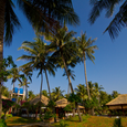 Quang cảnh - Thái Hòa Resort