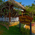 Quang cảnh - Thái Hòa Resort