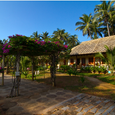 Quang cảnh - Thái Hòa Resort