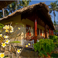 Quang cảnh - Thái Hòa Resort