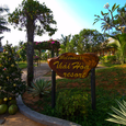 Quang cảnh - Thái Hòa Resort