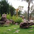 Sân vườn - Bãi Lữ Resort