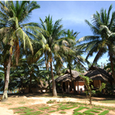 Quang cảnh - Việt Thanh Resort