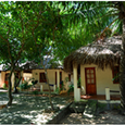 Quang cảnh - Việt Thanh Resort