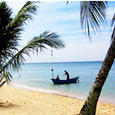 Quang cảnh - Việt Thanh Resort