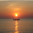 Quang cảnh - Việt Thanh Resort
