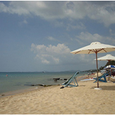 Quang cảnh - Việt Thanh Resort