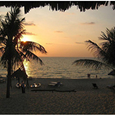 Quang cảnh - Việt Thanh Resort