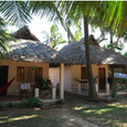 Quang cảnh - Việt Thanh Resort